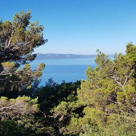 Apartment Gal Podgora Kültér fotó
