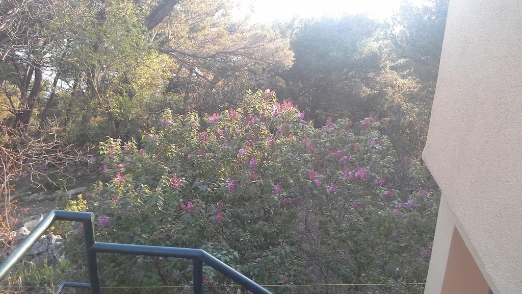 Apartment Gal Podgora Kültér fotó