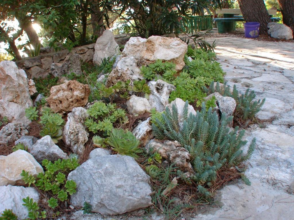 Apartment Gal Podgora Kültér fotó