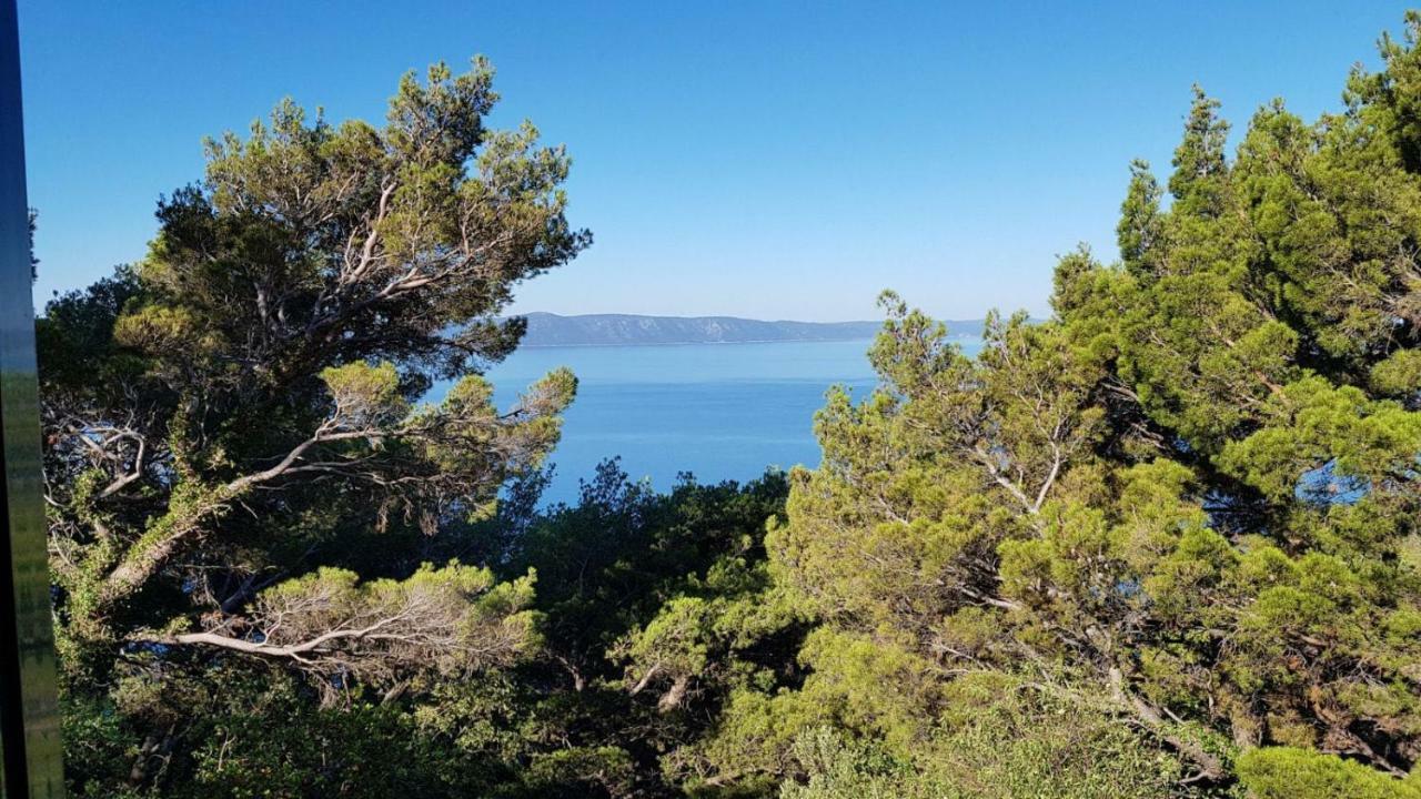 Apartment Gal Podgora Kültér fotó