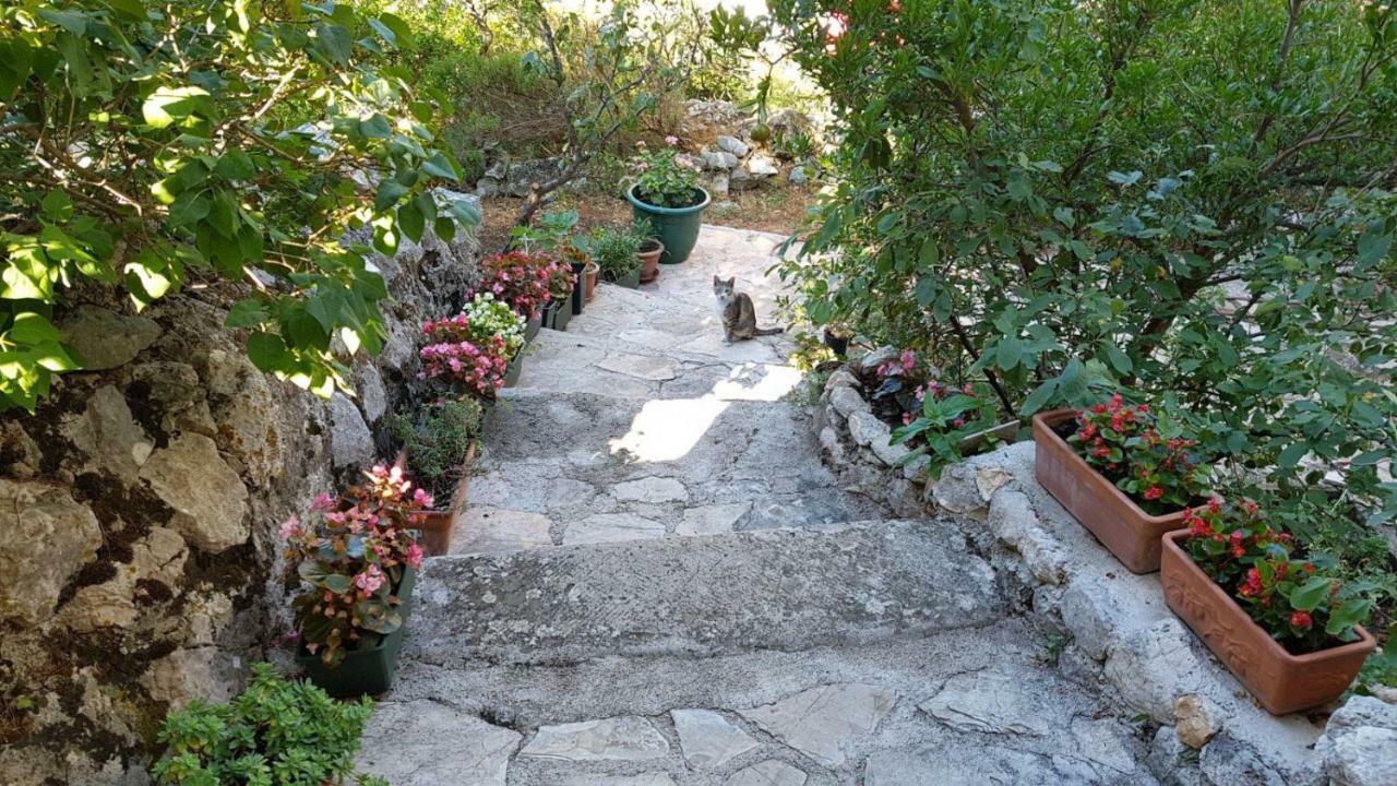 Apartment Gal Podgora Kültér fotó
